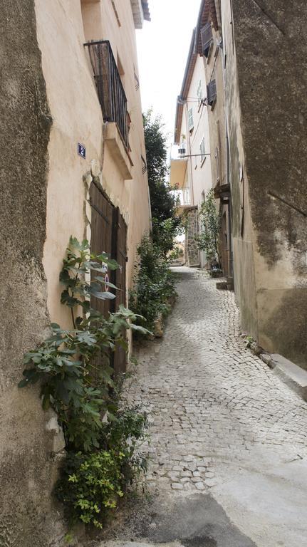 Bed and Breakfast La Vieille Bastide Flayosc Exterior foto
